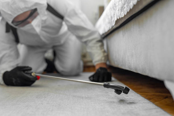 Professional Cockroach Control technician working in Fife, WA