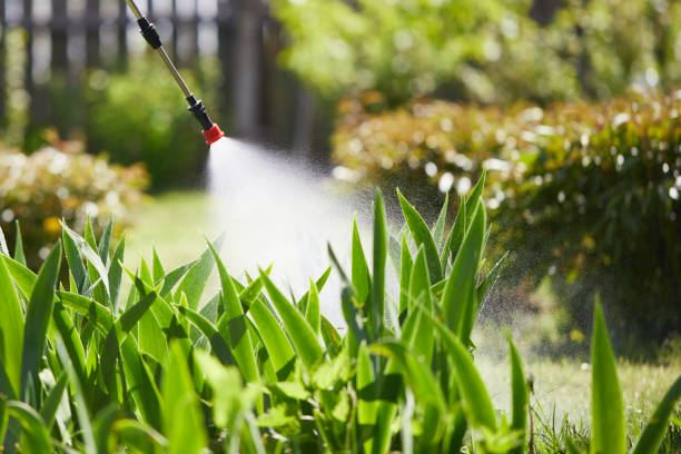 24/7 Emergency Cockroach Control experts in Fife, WA